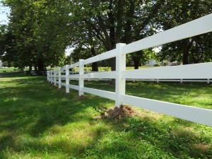 Post and Rail fence under trees