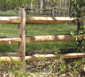 Split rail fence
