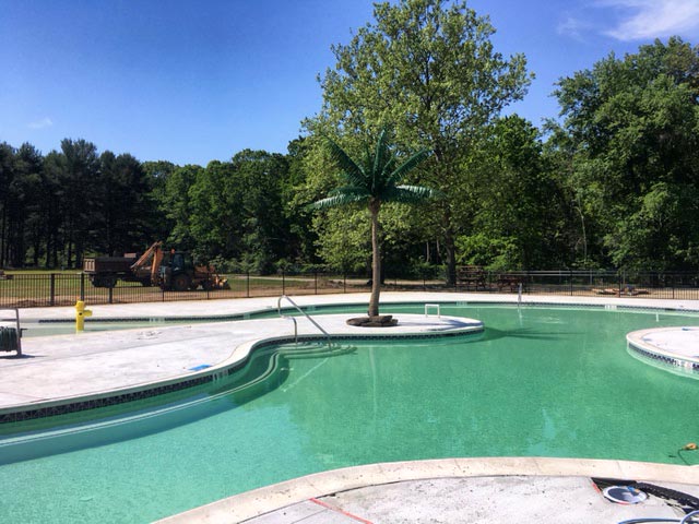 Fenced in Kandle Lake Swim Club pool with fake tree at center